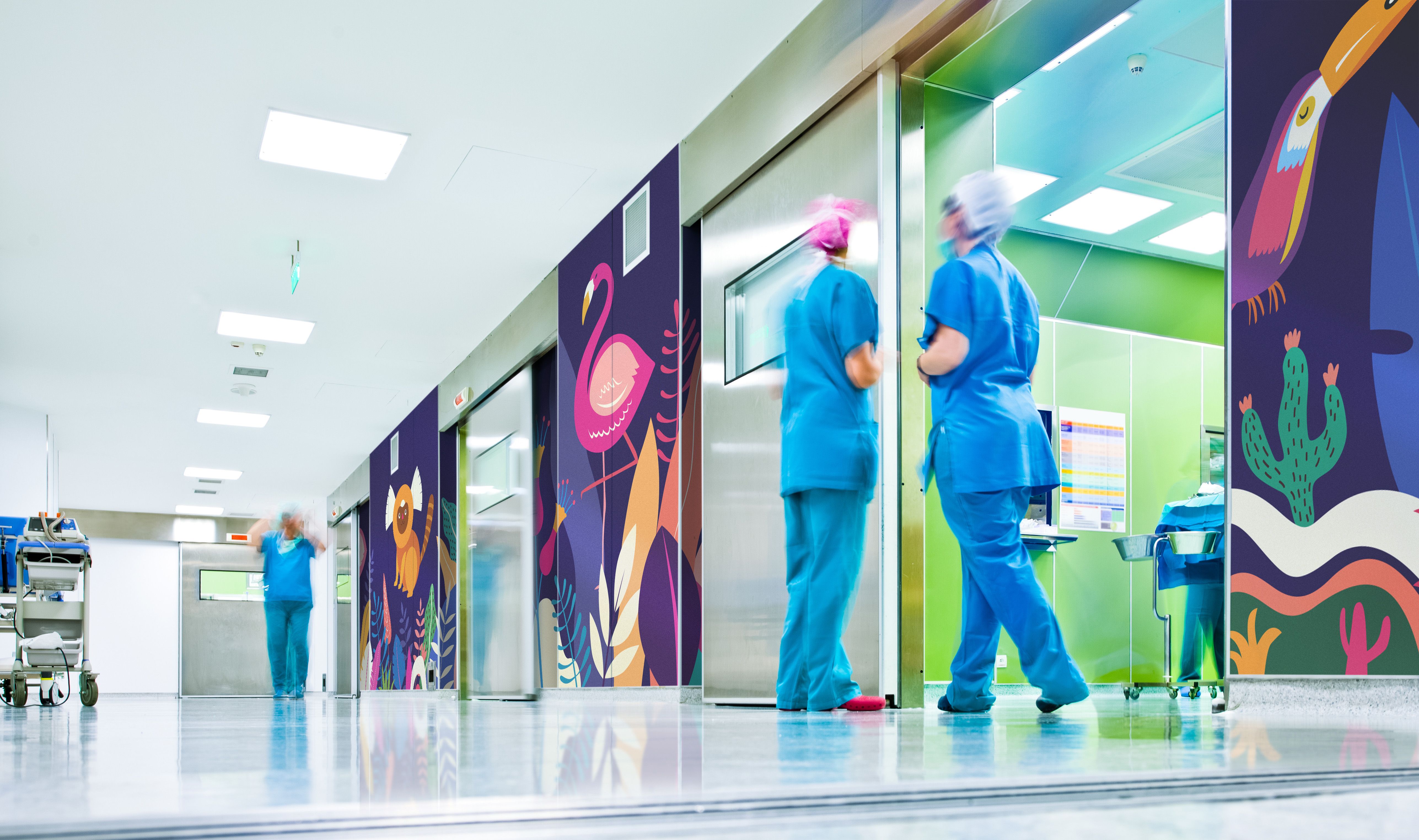 Print Media Trends 2020 Interview with Jill Walsh 