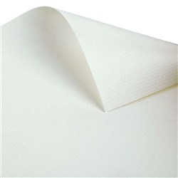 LW300 PVC FABRIC 320CM WHITE