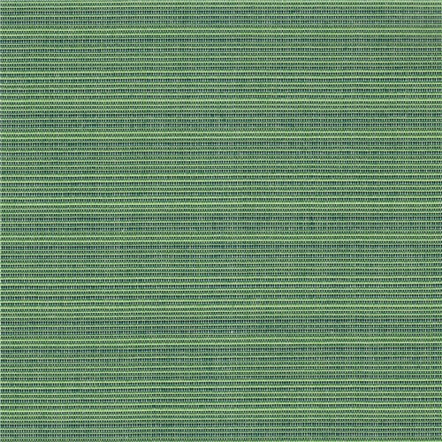 479 - Parrot Green Mat