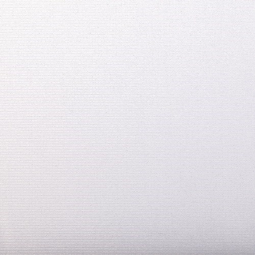 Softimage-Elastico