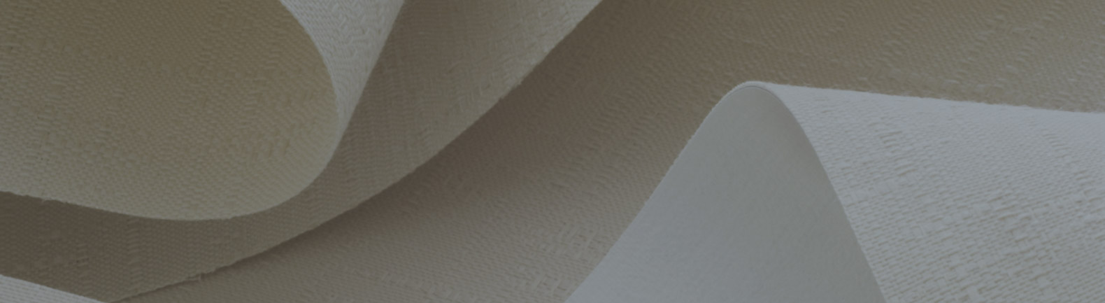 Social Responsibility