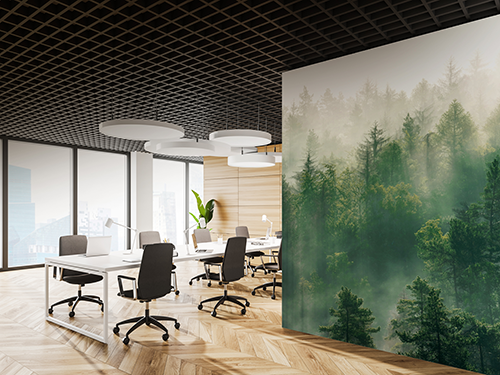 Transform Your Workspace: The Art and Science of Modern Wallcoverings 
