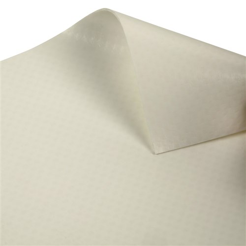 9002 White