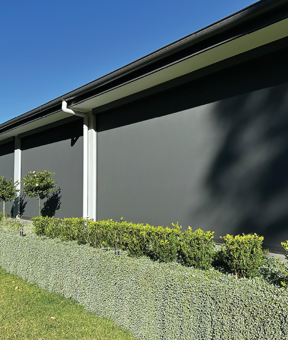 Mesh - External Blinds